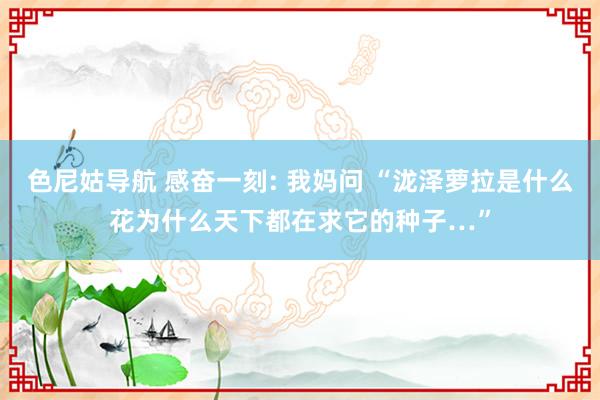 色尼姑导航 感奋一刻: 我妈问 “泷泽萝拉是什么花为什么天下都在求它的种子…”