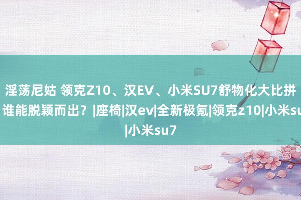 淫荡尼姑 领克Z10、汉EV、小米SU7舒物化大比拼：谁能脱颖而出？|座椅|汉ev|全新极氪|领克z10|小米su7