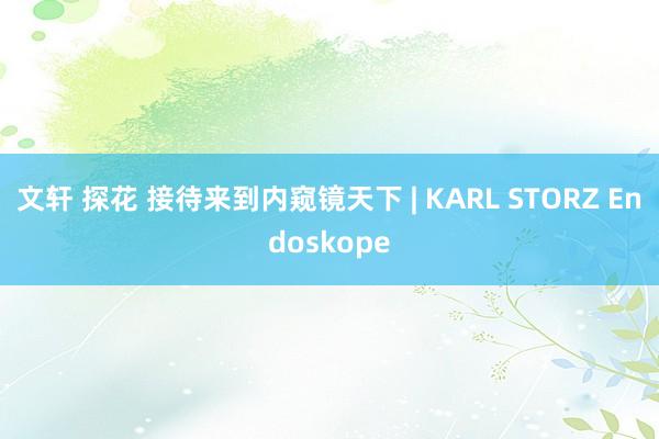 文轩 探花 接待来到内窥镜天下 | KARL STORZ Endoskope