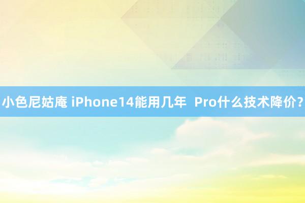 小色尼姑庵 iPhone14能用几年  Pro什么技术降价？