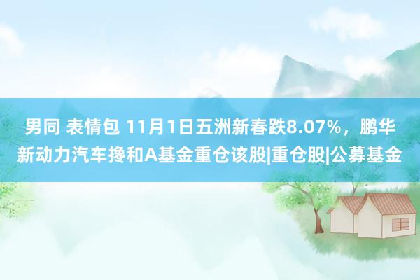 男同 表情包 11月1日五洲新春跌8.07%，鹏华新动力汽车搀和A基金重仓该股|重仓股|公募基金