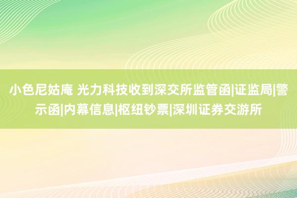 小色尼姑庵 光力科技收到深交所监管函|证监局|警示函|内幕信息|枢纽钞票|深圳证券交游所