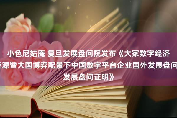 小色尼姑庵 复旦发展盘问院发布《大家数字经济发展能源暨大国博弈配景下中国数字平台企业国外发展盘问证明》