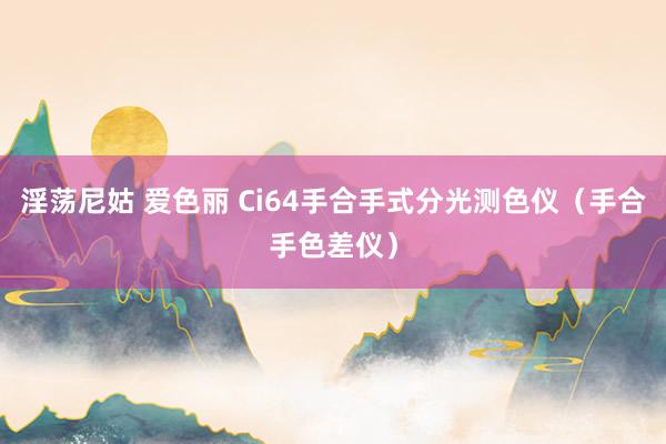 淫荡尼姑 爱色丽 Ci64手合手式分光测色仪（手合手色差仪）